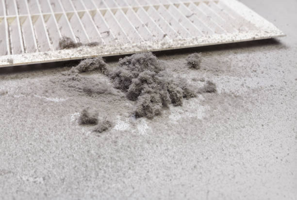 Best Air Vent Cleaning Services  in Fort Davis, TX