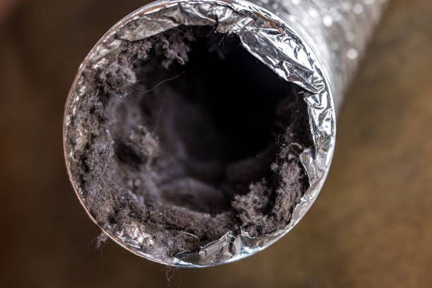 Best Best Air Duct Cleaning Company  in Fort Davis, TX