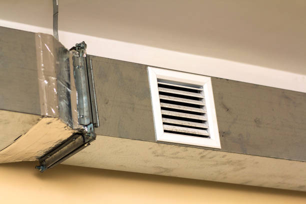 Best Home Air Vent Cleaning  in Fort Davis, TX